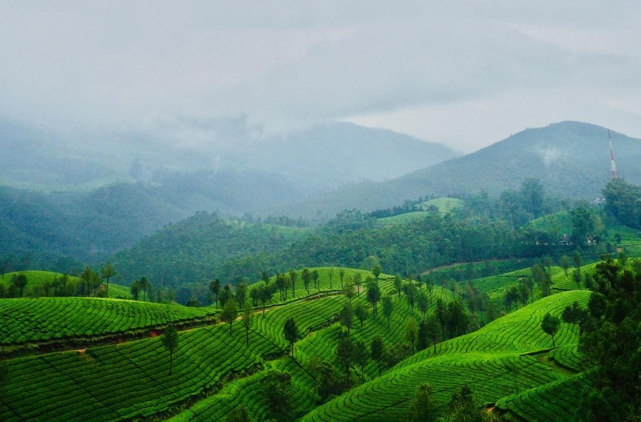 Lockhart Bungalow Munnar - A Cgh Earth Saha Experience Ngoại thất bức ảnh