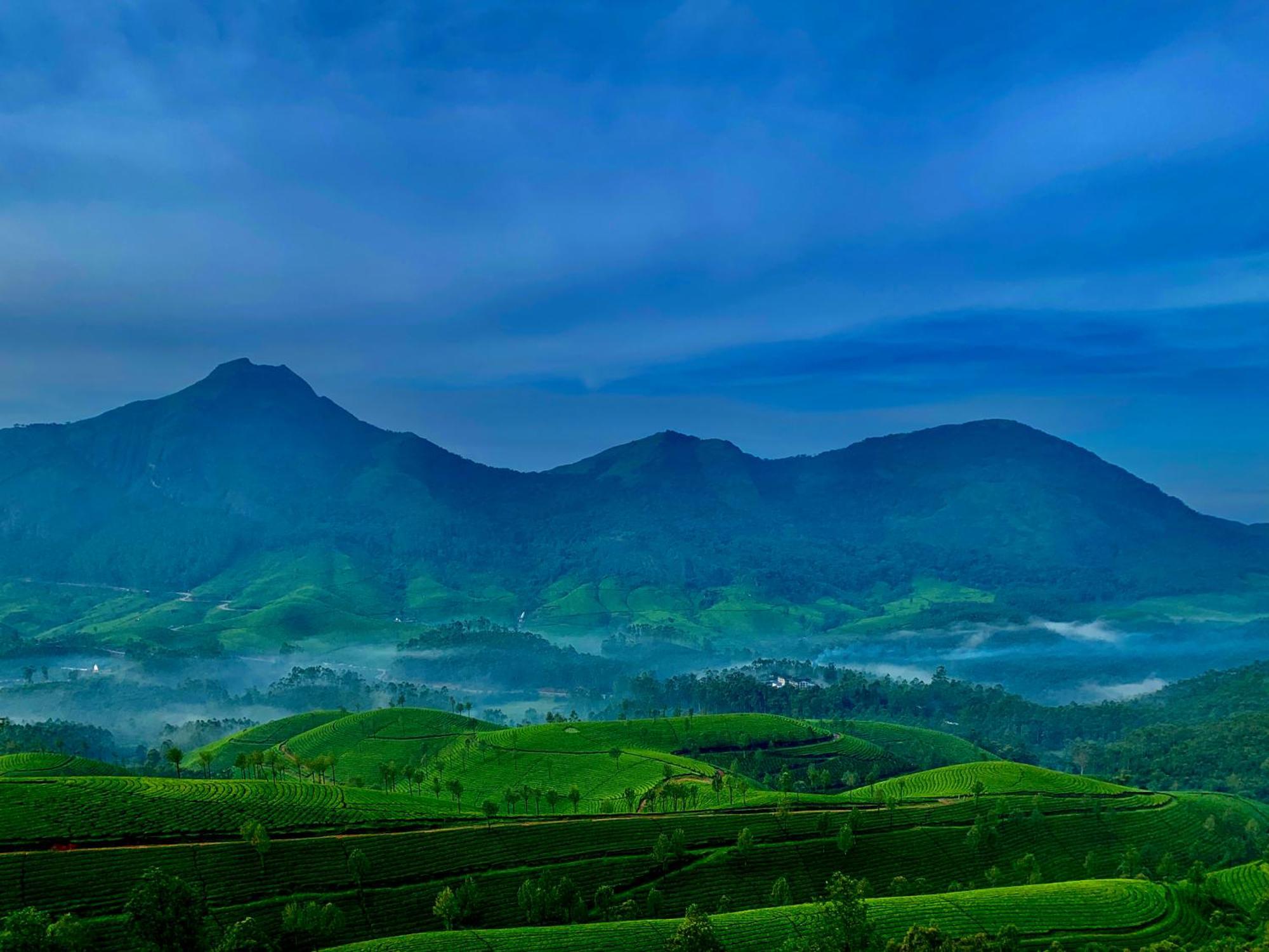 Lockhart Bungalow Munnar - A Cgh Earth Saha Experience Ngoại thất bức ảnh