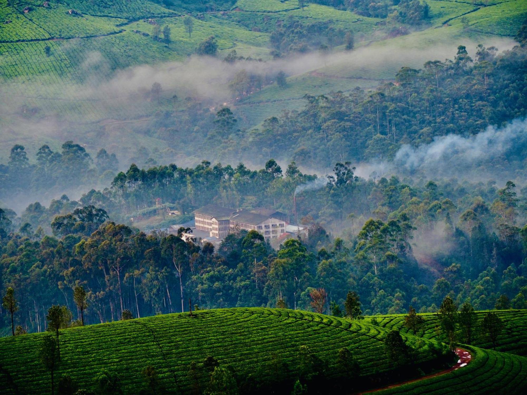Lockhart Bungalow Munnar - A Cgh Earth Saha Experience Ngoại thất bức ảnh