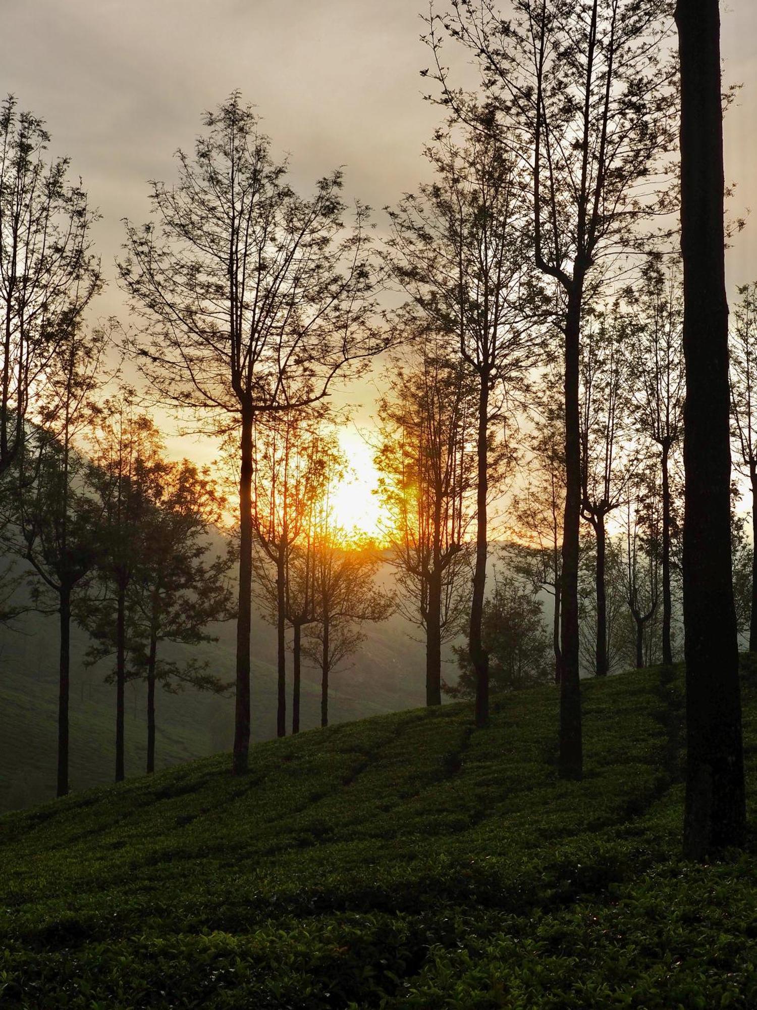 Lockhart Bungalow Munnar - A Cgh Earth Saha Experience Ngoại thất bức ảnh