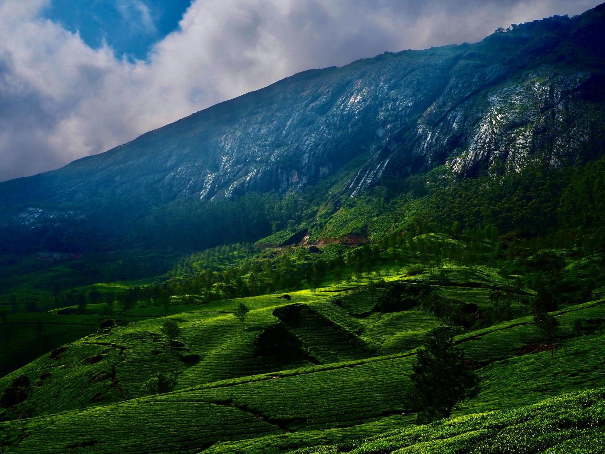 Lockhart Bungalow Munnar - A Cgh Earth Saha Experience Ngoại thất bức ảnh
